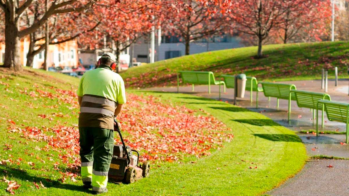 Jardinero Bogotá Norte